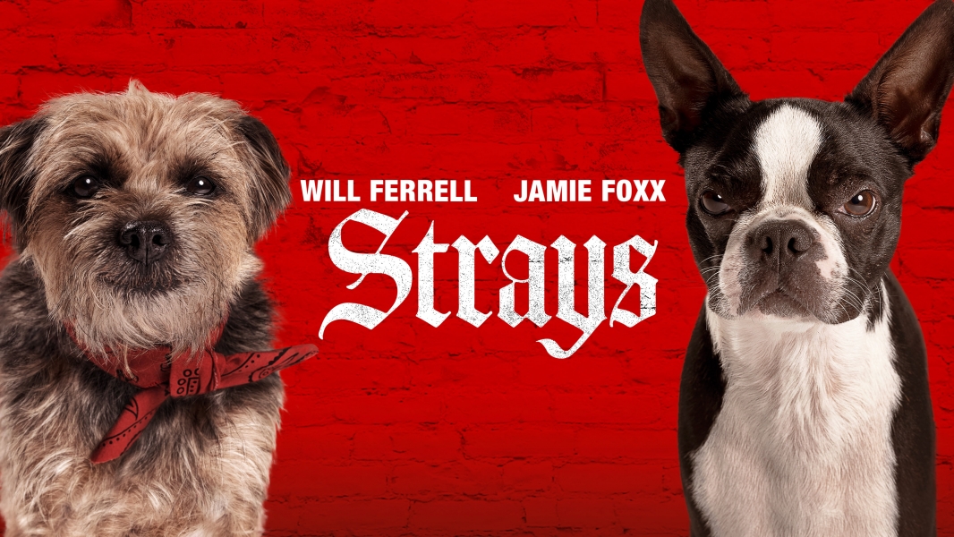 Watch Free Strays Full Movies Online HD