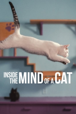 Inside the Mind of a Cat-full