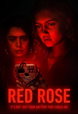 Red Rose-full