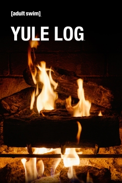 Adult Swim Yule Log-full