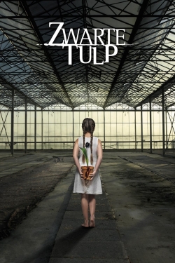 Black Tulip-full