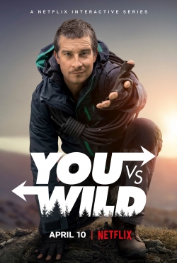 You vs. Wild-full