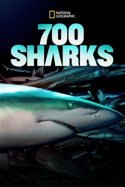 700 Sharks-full