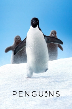 Penguins-full