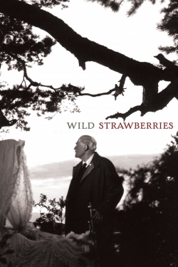 Wild Strawberries-full