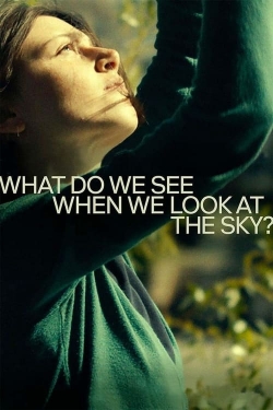 What Do We See When We Look at the Sky?-full