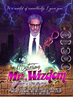 The Mysterious Mr. Wizdom-full