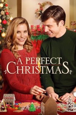 A Perfect Christmas-full