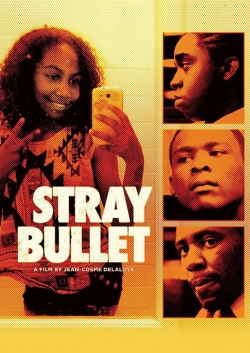 Stray Bullet-full