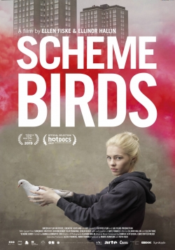 Scheme Birds-full