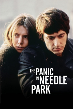 The Panic in Needle Park-full