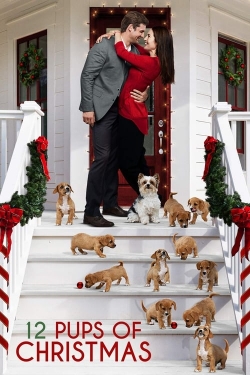 12 Pups of Christmas-full