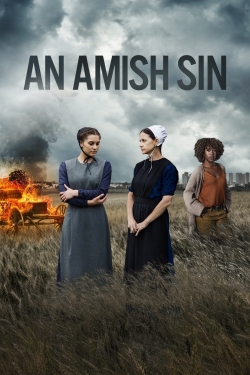 An Amish Sin-full