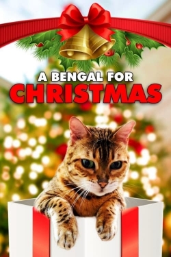 A Bengal for Christmas-full