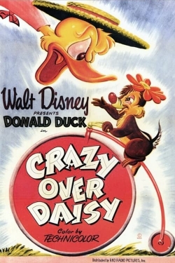 Crazy Over Daisy-full