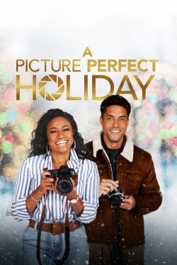 A Picture Perfect Holiday-full