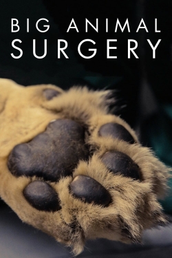 Big Animal Surgery-full