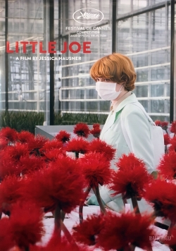 Little Joe-full