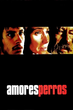 Amores Perros-full