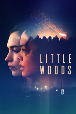 Little Woods-full