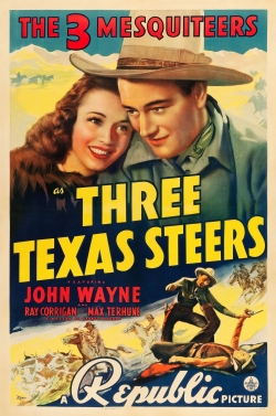 Three Texas Steers-full