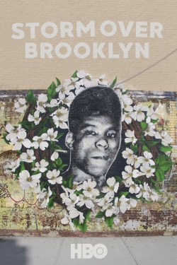 Yusuf Hawkins: Storm Over Brooklyn-full