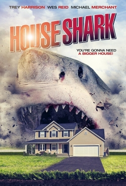 House Shark-full
