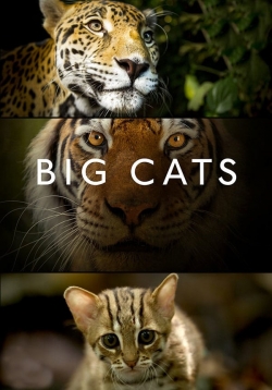 Big Cats-full