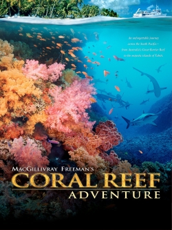 Coral Reef Adventure-full