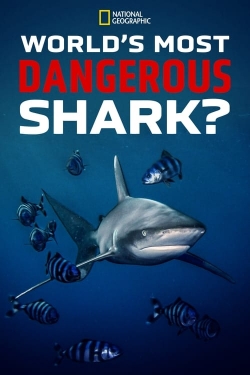 World's Most Dangerous Shark?-full
