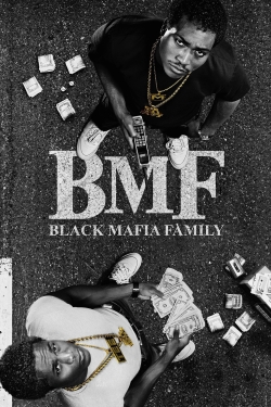 BMF-full