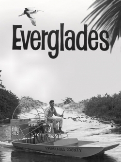 Everglades-full