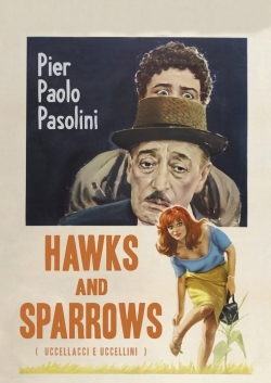 Hawks and Sparrows-full