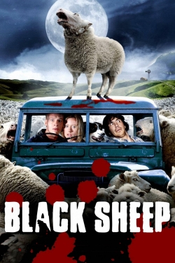Black Sheep-full