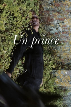A Prince-full
