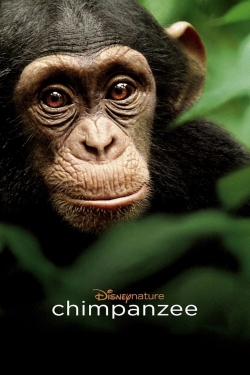 Chimpanzee-full