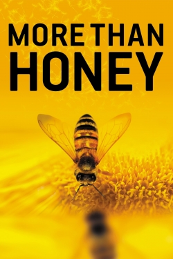 More Than Honey-full