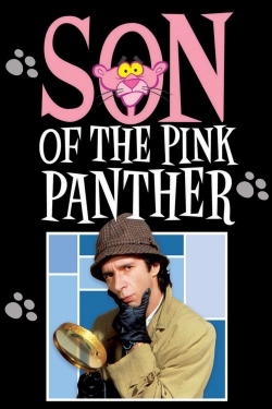 Son of the Pink Panther-full