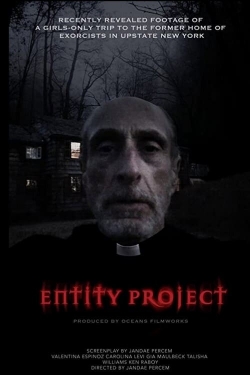 Entity Project-full