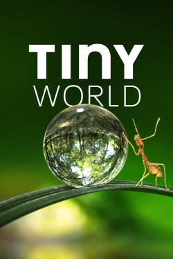 Tiny World-full