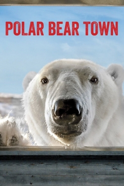 Polar Bear Town-full