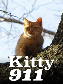 Kitty 911-full