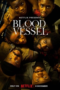 Blood Vessel-full