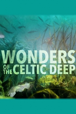Wonders of the Celtic Deep-full