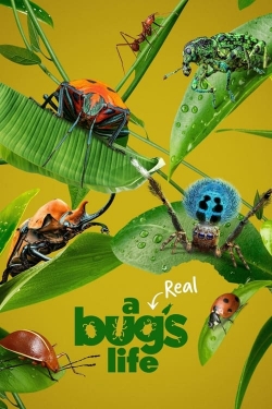 A Real Bug's Life-full