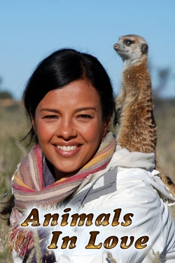 Animals in Love-full