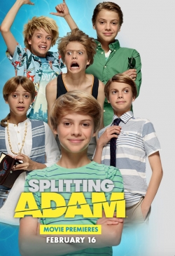 Splitting Adam-full